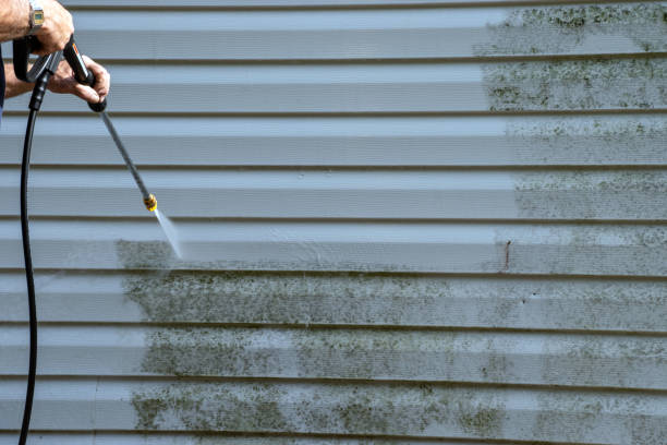 Best Hoarding Cleanup  in Amityville, NY